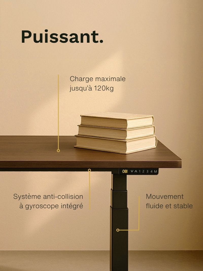 Console de commande bureau Assis Debout ADVANCED par AUM WORLD capacité de charge
