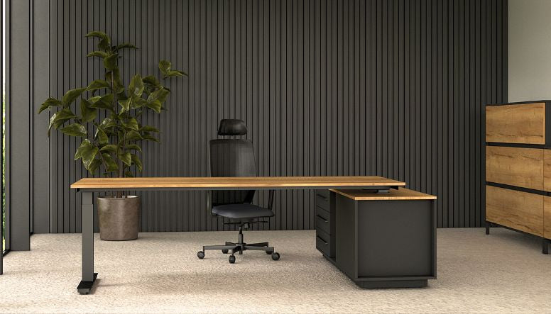 Bureau de direction Assis Debout AUM WORLD