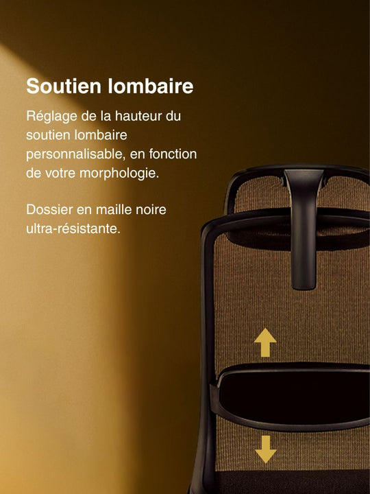 AUM WORLD MODULO 1 soutien lombaire exceptionnel chaise de bureau ergonomique