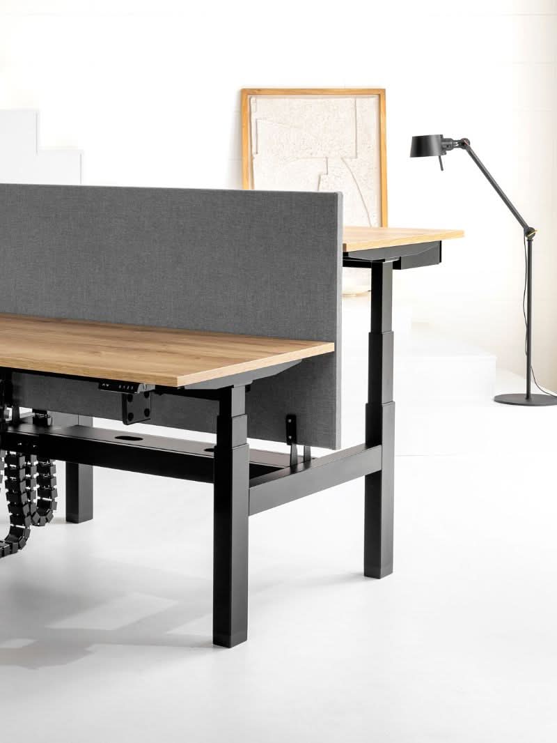 Bench Assis Debout Électrique, 2 Postes, Ports USB A & C | Duo Go - Pl ...