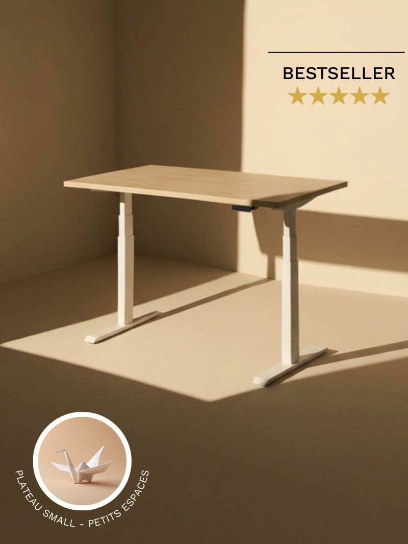 Advanced Go - Plateau Small | Bureau Assis Debout Électrique 110x60 ou 120x60,  Ports USB A & C