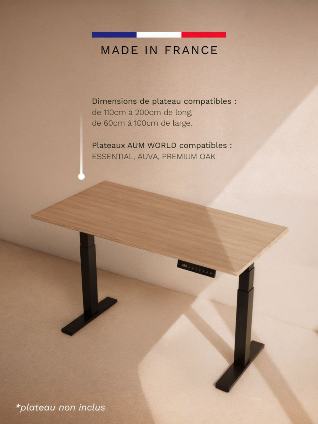 Pieds de Bureau Électrique Réglable en Hauteur | Advanced