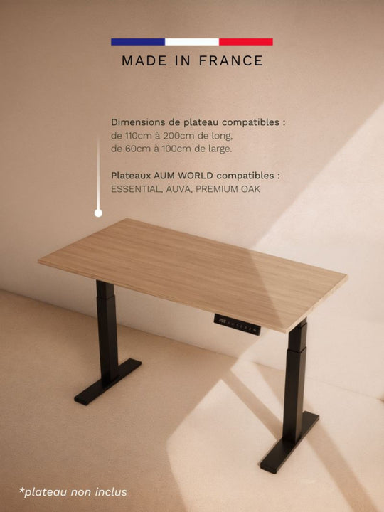 Pieds de Bureau Électrique Réglable en Hauteur | Advanced