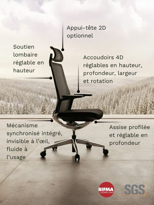 Réglages de la chaise de bureau INVICTA par AUM WORLD