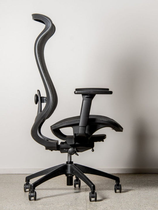 Chaise de Bureau Ergonomique | LINEO