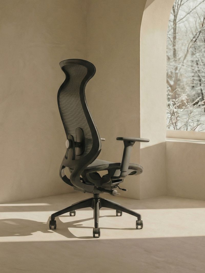 Chaise de Bureau Ergonomique | Lineo