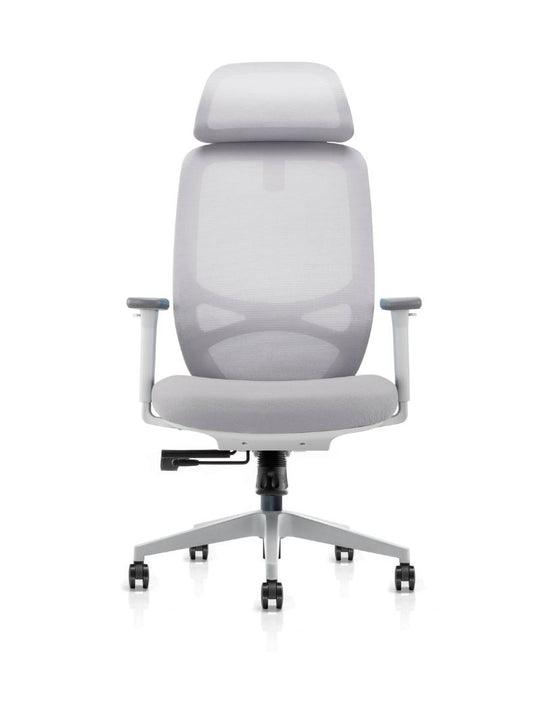 Chaise de Bureau Ergonomique | MILO