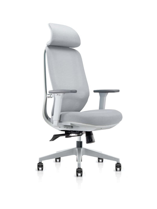 Chaise de Bureau Ergonomique | MILO