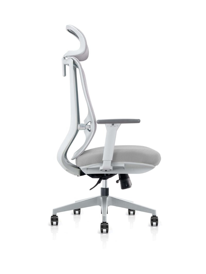 Chaise de Bureau Ergonomique | MILO