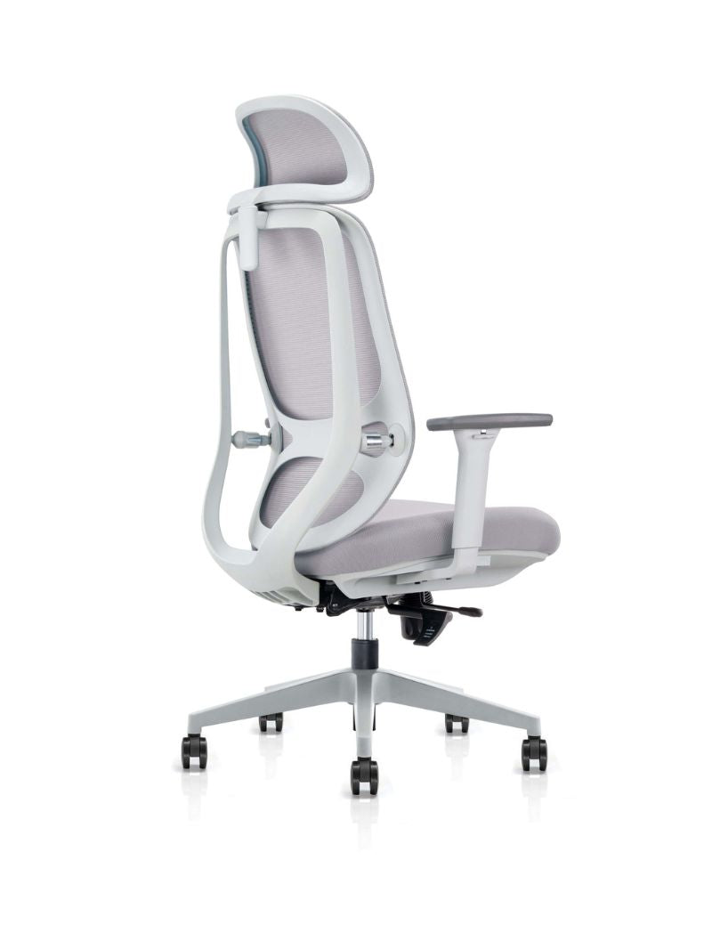 Chaise de Bureau Ergonomique | MILO