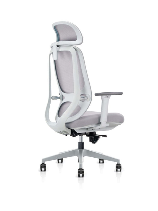 Chaise de Bureau Ergonomique | MILO