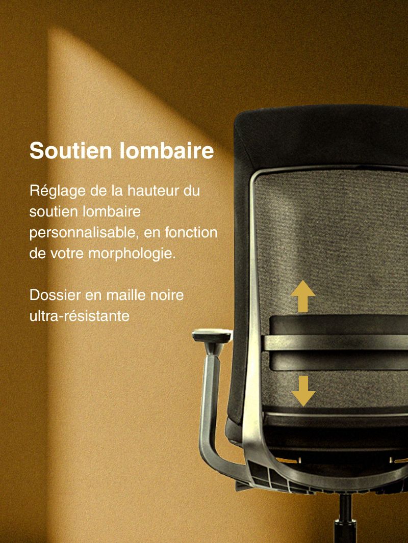 Soutien lombaire personnalisable - chaise de bureau ergonomique SYNKRO AUM WORLD