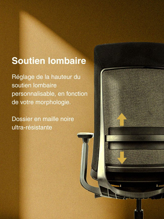 Soutien lombaire personnalisable - chaise de bureau ergonomique SYNKRO AUM WORLD