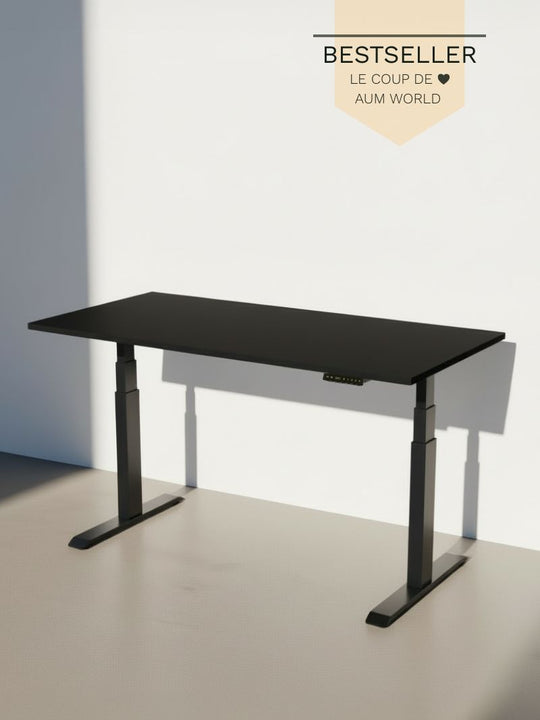AUM WORLD Le meilleur bureau assis debout électrique