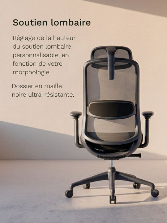 Chaise de Bureau Ergonomique | Modulo 1_Soutien lombaire
