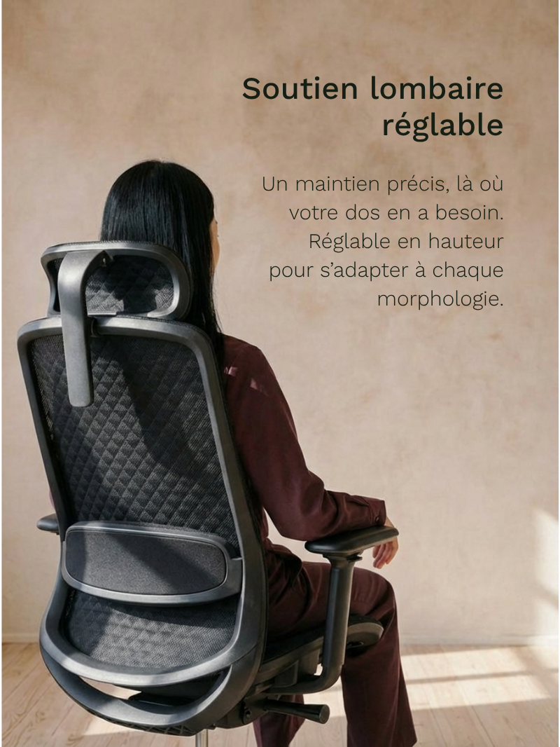 Chaise de Bureau Ergonomique | Modulo 2_Soutien lombaire réglable