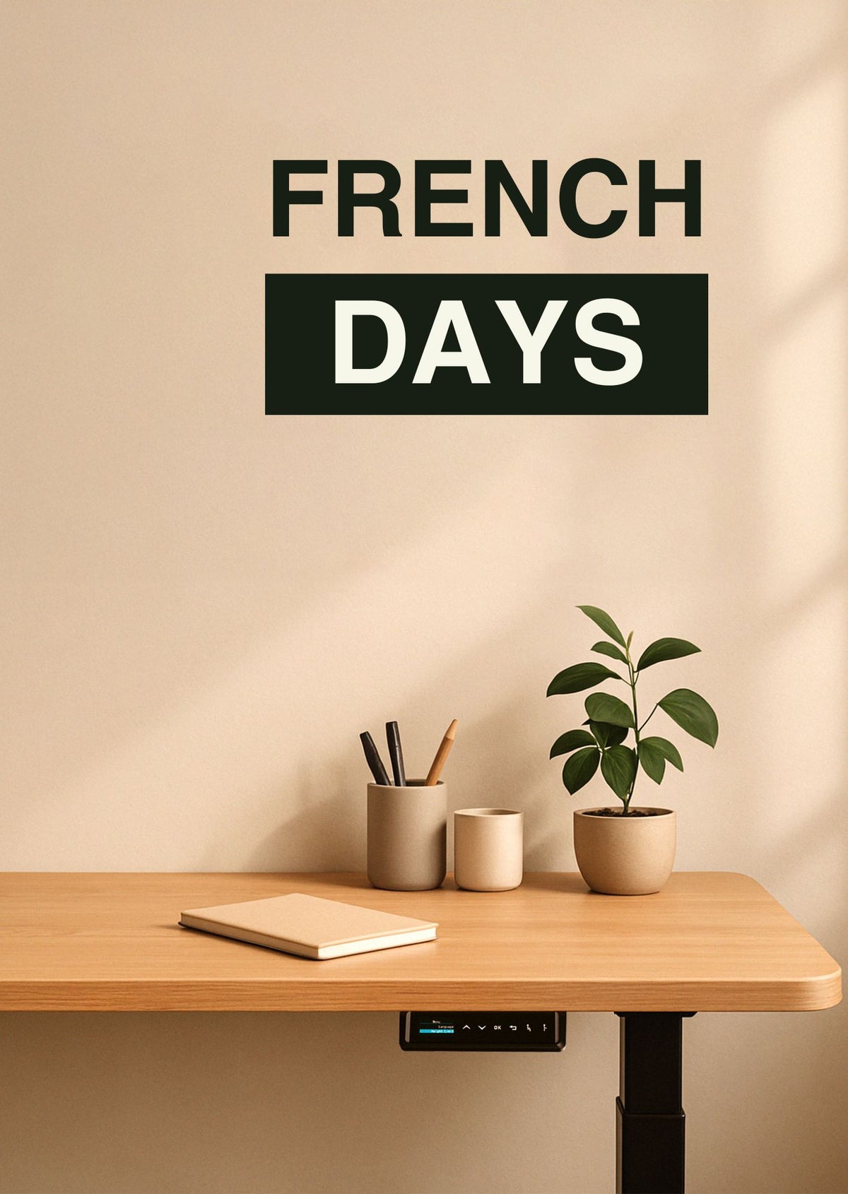 FRENCH_DAYS_2025