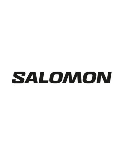 AUM WORLD_CLIENT_ILS NOUS ONT FAIT CONFIANCE_LOGO_SALOMON