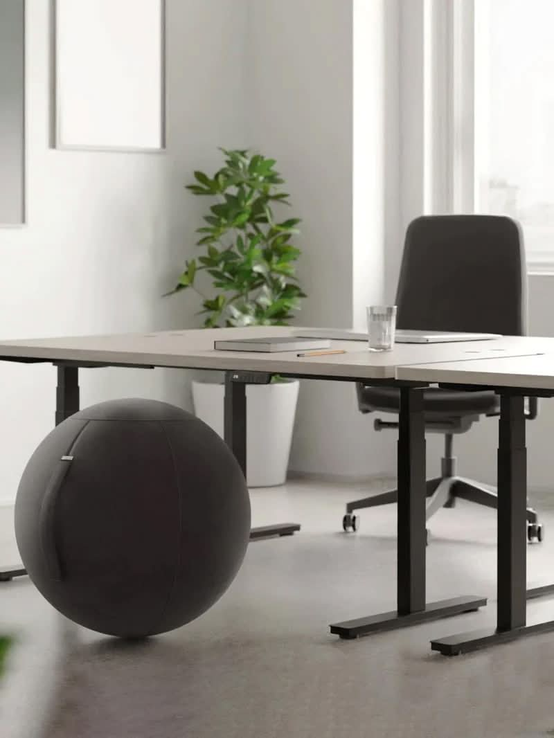 Siège Ballon Ergonomique de Bureau - SPHERE