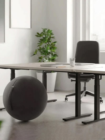 Siège Ballon Ergonomique de Bureau | SPHERE